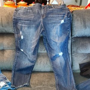 Terra & SKY plus size jeans